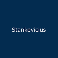 Stankevicius MGM Consulting