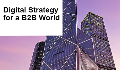 Digital B2B Strategy