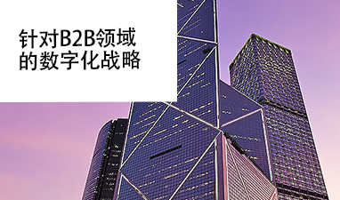 Digital B2B Strategy